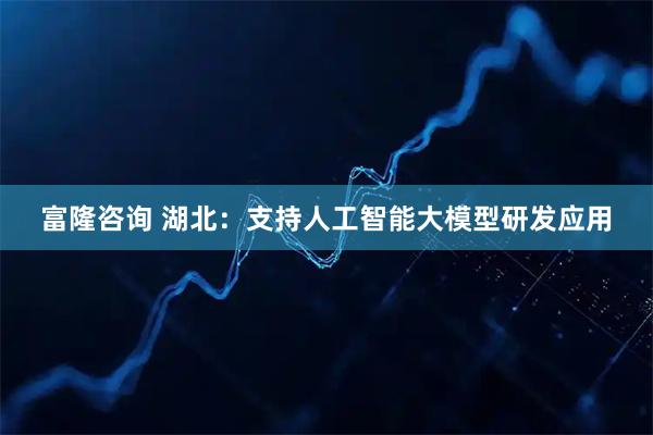 富隆咨询 湖北：支持人工智能大模型研发应用