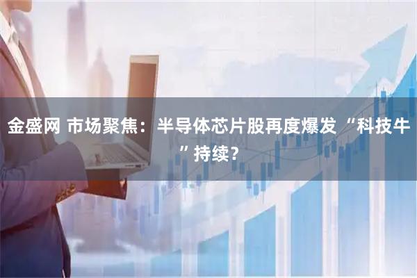 金盛网 市场聚焦：半导体芯片股再度爆发 “科技牛”持续？